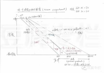 特种部队游戏潜水员攻略,特种部队潜行者