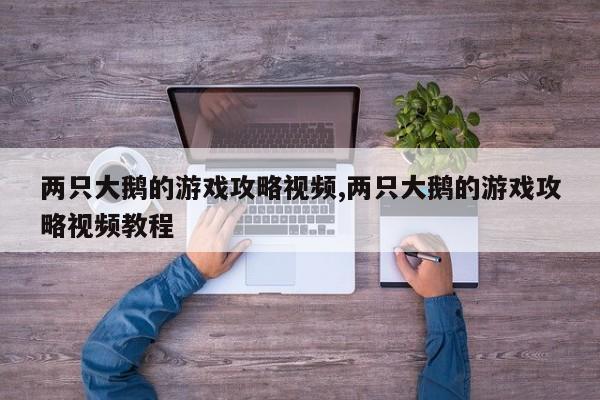 两只大鹅的游戏攻略视频,两只大鹅的游戏攻略视频教程